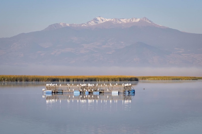 Culminación de la Primera Etapa del Saneamiento del Río Lerma: Un Paso Hacia la Salvaguarda de Recursos Naturales